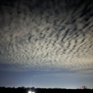 Meet your Posher, Thai